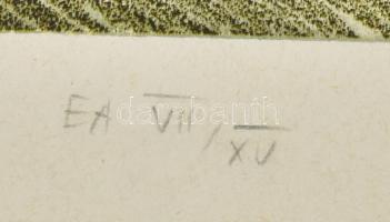 Szurcsik József (1959-): "Gondolatelszívó", 1991. Litográfia, papír. Jelzett. Művészpéldán...