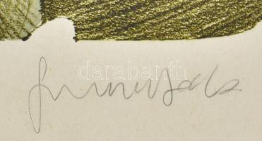 Szurcsik József (1959-): "Gondolatelszívó", 1991. Litográfia, papír. Jelzett. Művészpéldán...