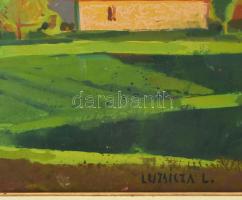 Luzsicza Lajos (1920-2005): Ősz a Mátrában. Olaj, farost, jelezve jobbra lent, hátoldalán Képcsarnok...