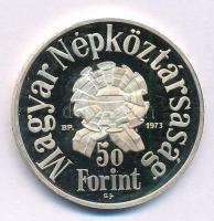 1973. 50Ft Ag kapszulában T:AU (PP) Adamo EM41