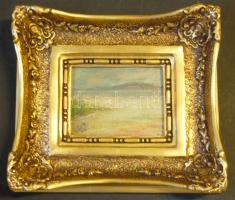 Erös A. jelzéssel: Tengerparton, olaj-vászon keretben 32x37 cm