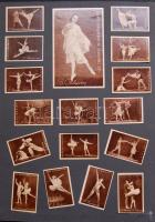 1100 darabos szépen rendezett szovjet gyufacímke-gyűjtemény mappában, kartonlapokon / collection of ...