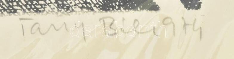 Tassy Béla (1942-): Kísérlet III., 1974. Szitanyomat, papír. Jelzett. Számozott (15/2). Paszpartuban...