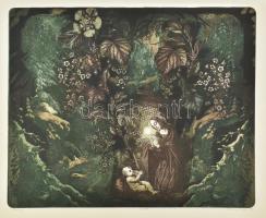 Tassy Béla (1942-): Fény. Rézkarc, papír. Jelzett. Számozott (43/100). 40x49 cm