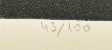 Tassy Béla (1942-): Fény. Rézkarc, papír. Jelzett. Számozott (43/100). 40x49 cm