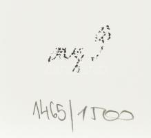 Reigl Judit (1923-2020): Portré. Szitanyomat, papír, jelzett a nyomaton, számozott: 1465/1500, 19,5x...