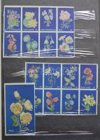 570 darabos magyar gyufacímke-gyűjtemény jó bélyegberakóban / collection of Hungarian match-labels