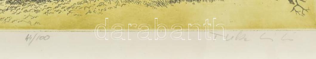 Tuka László (1924-2007): Vaddisznó. Színes rézkarc, papír, jelzett, számozott (44/100). Paszpartuban...