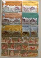 1500 darabos magyar gyufacímke-gyűjtemény jó bélyegberakóban / collection of Hungarian match-labels