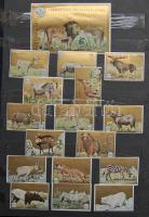 346 darabos magyar gyufacímke-gyűjtemény jó bélyegberakóban / collection of Hungarian match-labels