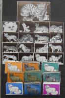 1330 darabos magyar gyufacímke-gyűjtemény jó bélyegberakóban / collection of Hungarian match-labels