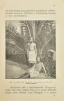 Bucsányi Gyula: Természetes élet- és gyógymód. Bp., 1913., Légrády. 2. kiadás. Fekete-fehér fotókkal...