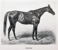 Halász György: Telivérek. A magyar telivér lótenyésztés története a ménimportok csoportosítása alapj...