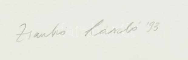 Zsankó László (1966-): Számpályák - egyes, 1993. Litográfia, papír, jelzett, művészpéldány E.A. V/V ...