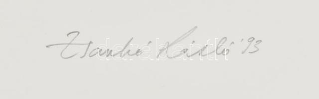 Zsankó László (1966-): Számpályák - nulla. Litográfia, papír, jelzett, művészpéldány E.A. V/V számoz...