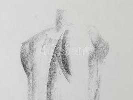 Ambrus Sándor (1959-2008): Női akt (torzó). Szén, papír, Jelzett. dekoratív üvegezett keretben. 38x2...