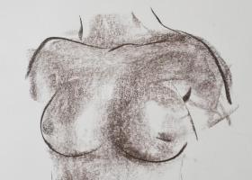 Ambrus Sándor (1959-2008): Női akt (torzó). Szén, papír, Jelzett. dekoratív üvegezett keretben. 41x2...