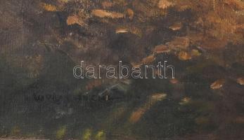 Ujváry Ferenc (1898-1971): Libapásztor lányka. Olaj, vászon, jelzett, sérült blondel keretben, 40x48...