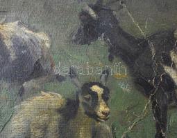Viski János (1891-1987): Kecskék. Olaj, karton, jelzett. sérülésekkel, törésnyommal 50x60 cm