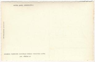 Újradna, Neurodna, Sant; Gospodarie / erdélyi folklór, malacok / Transylvanian folklore, pigs