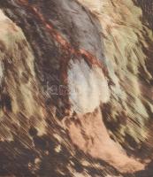 Prihoda István (1891-1965): Lányka. Színezett rézkarc, papír, jelzett. Üvegezett, dekoratív fakeretb...