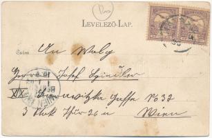 Karánsebes, Caransebes; Philipphof / Philipp udvar. H. Rosenfeld kiadása / hotel and café (fl)