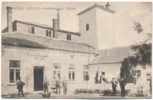 1931 Lippafüred, Lippafürdő, Baile Lipova (Temes, Timis); Stabilimentul Bailor, Directiunea Bailor / Fürdőigazgatóság épülete / building of the spa directorate (EK)