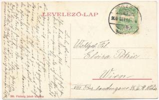 1909 Fogaras, Fagaras; mozaiklap, vár, híd. Fleissig Jakab kiadása / multi-view postcard with castle...