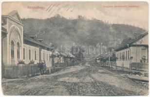 1913 Nándorhegy, Otelu Rosu, Ferdinand, Ferdinandsberg; Vasgyári tisztviselők lakóházai. Móricz Ernő kiadása / houses of the ironworks&#039; officers (EM)