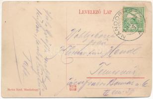 1913 Nándorhegy, Otelu Rosu, Ferdinand, Ferdinandsberg; Vasgyári tisztviselők lakóházai. Móricz Ernő...