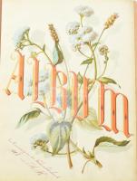 cca 1880-1910 Régi családi fotóalbum, keményhátú fotókkal (vizitkártyák, kabinetfotók), közte sok ka...