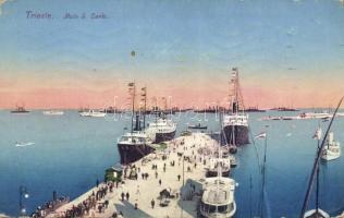 Trieste molo S. Carlo with cruiser ships and liners (EK)