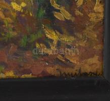 Nyilasy jelzéssel: Hegyvidék. Olaj, karton. Dekoratív, kissé sérült fakeretben, 44x60 cm