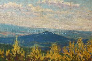 Nyilasy jelzéssel: Hegyvidék. Olaj, karton. Dekoratív, kissé sérült fakeretben, 44x60 cm