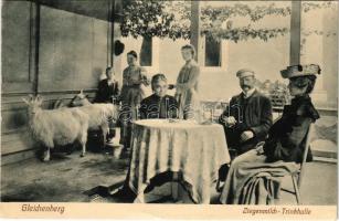 Bad Gleichenberg, Ziegenmilch Trinkhalle / Goat milk drinking hall