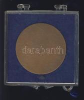 DN "Nyíregyháza városért" Br emlékérem eredeti plombált ÁPV plasztiktokban T:2