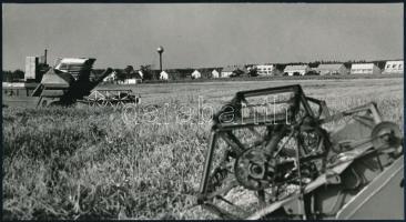 1975 Csík Ferenc szolnoki fotóművész felvétele (Aratás Szeged határában), feliratozott vintage fénykép, ezüstzselatinos fotópapíron, 13x24 cm