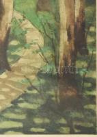 Nyáregyházi báró Nyáry Pál (?-?): Erdei ösvény. Akvarell, papír. Jelezve jobbra lent. 29x16,5 cm