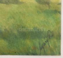 Nyáregyházi báró Nyáry Pál (?-?): Viharos táj. Akvarell, papír. Jelezve jobbra lent. Üveg mögött. 14...