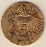 Lengyelország 1978. "Jozef Czechowicz költő" nagyalakú Br emlékplakett T:2