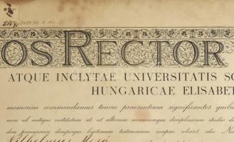 1940 Mesó Vilmos jogászi diplomája. Üvegezett keretben, függőpecsét nélkül. 65x50 cm