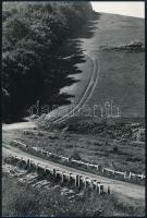 cca 1976 Borza János fotóművészeti alkotása (Út), feliratozott vintage fénykép, ezüstzselatinos fotópapíron, 24,2x16 cm