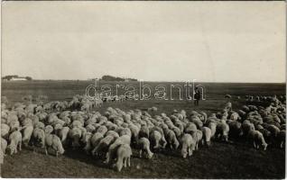 Kecskemét, Bugac puszta, juhász. G. Fekete Gyula kiadása