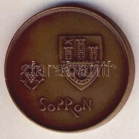 DN "Sopron" Br emlékérem T:2