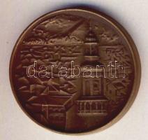 DN "Sopron" Br emlékérem T:2