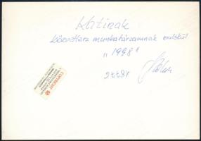 1998 Vatikán, magyar küldöttség Mária-szobrot ad át II. János Pál pápának, fotó, a hátoldalon dediká...