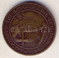 Hollandia 1929. "100 éves Amszterdam" Br emlékérem T:2