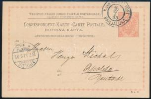 1903 Díjjegyes levelezőlap (Hoboday 8.II.-25.000) BANJALUKA Németországba küldve (Hugo Michel-nek címezve)