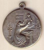 Vatikán DN "Consolatrix afflictorum" ffm katolikus emlékmedál T:2 f