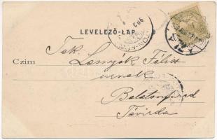 1902 Budapest VIII. Tisztviselőtelepi sporttelep, tenisz pálya (EK)